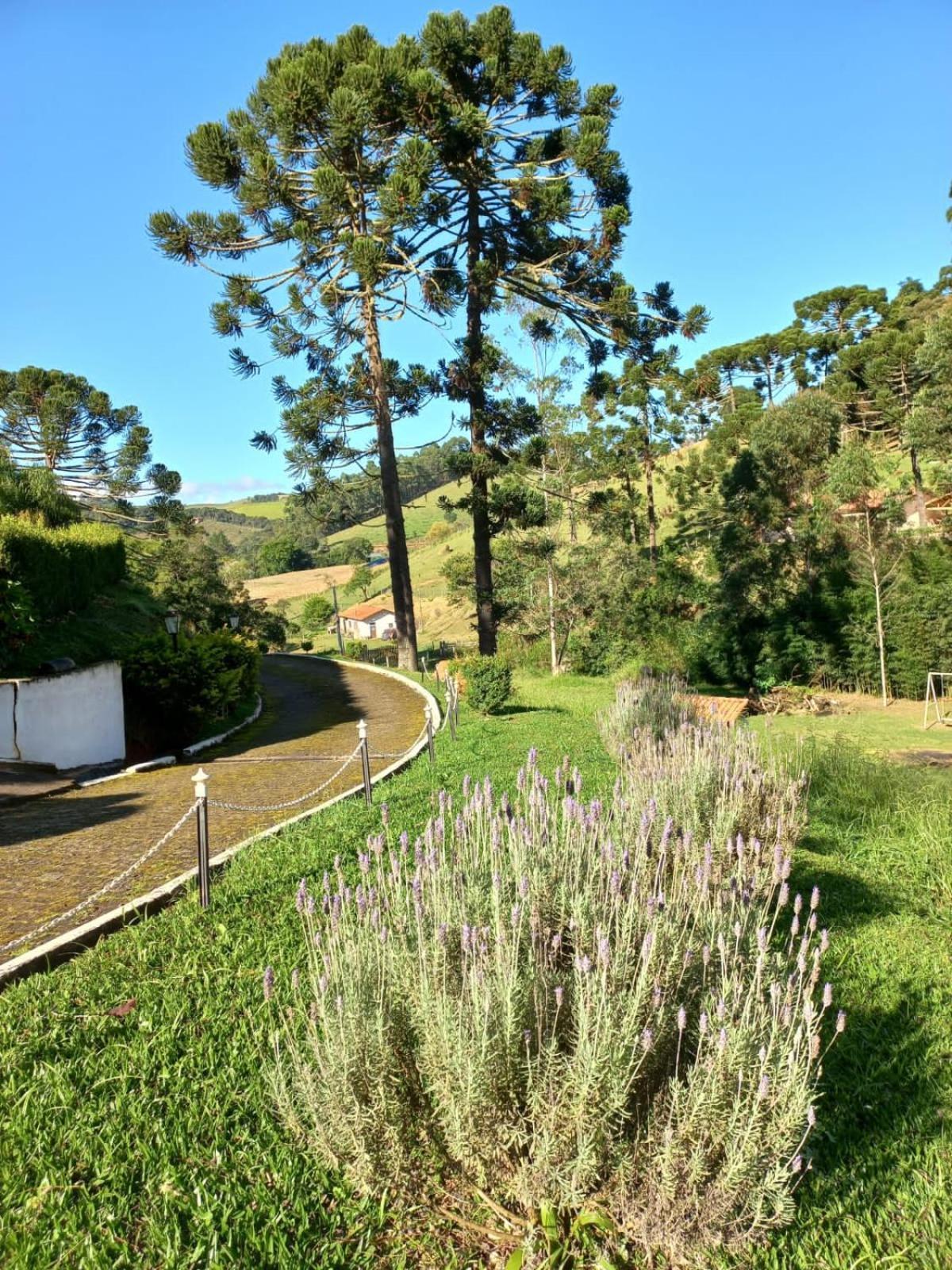 Pousada Pedacinho Do Ceu Chale 2 Cunha Buitenkant foto